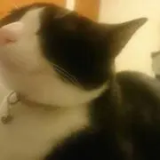 いち