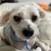 じぇいこの画像