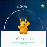 はるの画像