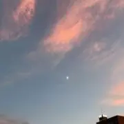 R 当日or翌日午前発送の画像