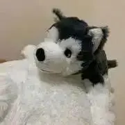 陽の画像