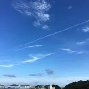 蒲焼さん花子