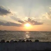 ぽん
