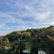 あんぱんの画像