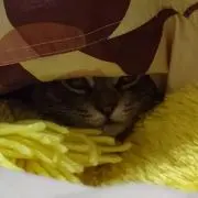 りと。