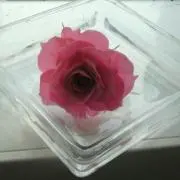 魁斗  どなたか片付け手伝って下さい！の画像