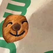 スージーの画像