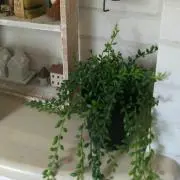 みっちの画像