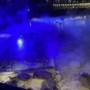 サバの画像