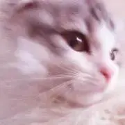 めけの画像