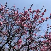 たけぽくたぁー【プロフ♡必読】の画像