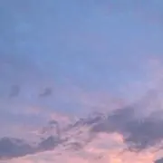 zoooの画像