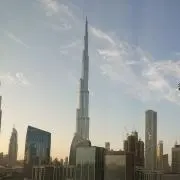 sakiの画像