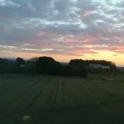 ちいた