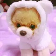 ベイベイ