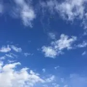 SS
