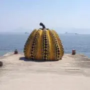 まなの画像