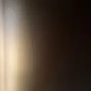 osakanaの画像