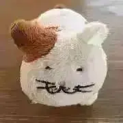 ゆるねこのポッケ☘️の画像
