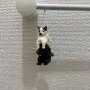 ごましおの画像