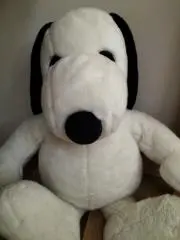 りえの画像
