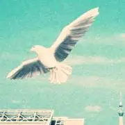 木木  即購入OKの画像