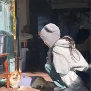 ゆき