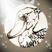 ハシビロコウタの画像