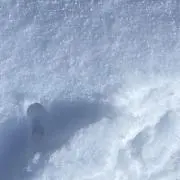 UUUUの画像