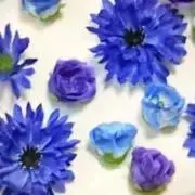 ゴト・ロク