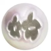るしこの画像