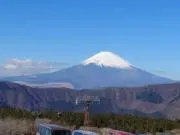 れんの画像