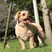 K ☆プロフ必読♪