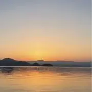 MIASの画像