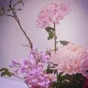 美桜の画像