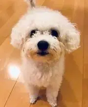 値引不可【プロフ読んで下さい】れっどの画像