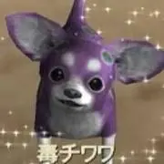 いぬの画像