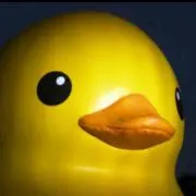 あひる