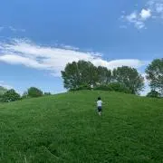 fantaの画像