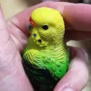 ミルクの画像