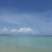 mkiichaoの画像