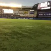 りくとの画像
