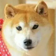 THA   【プロフ必読】値引き不可の画像