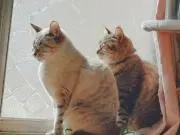 tandm721923の画像