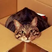 りんな