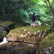 ごりごりら