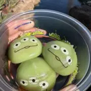 ニンニク君の画像