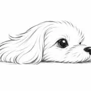 24時間以内発送◎もちこ