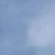 Mの画像