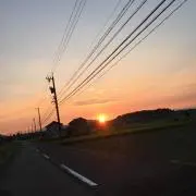 ゆうひ
